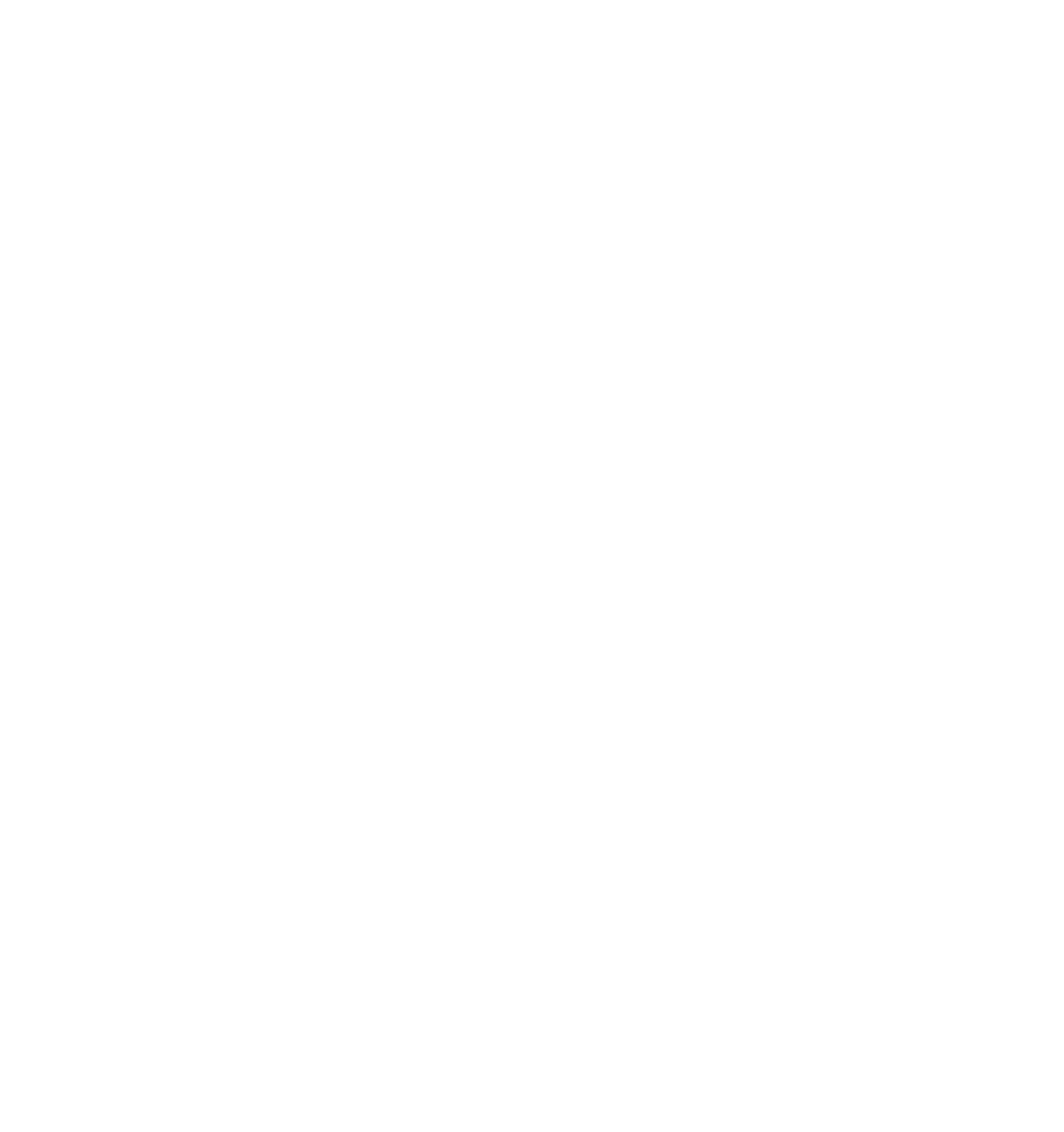 The Summer Berry Comapny